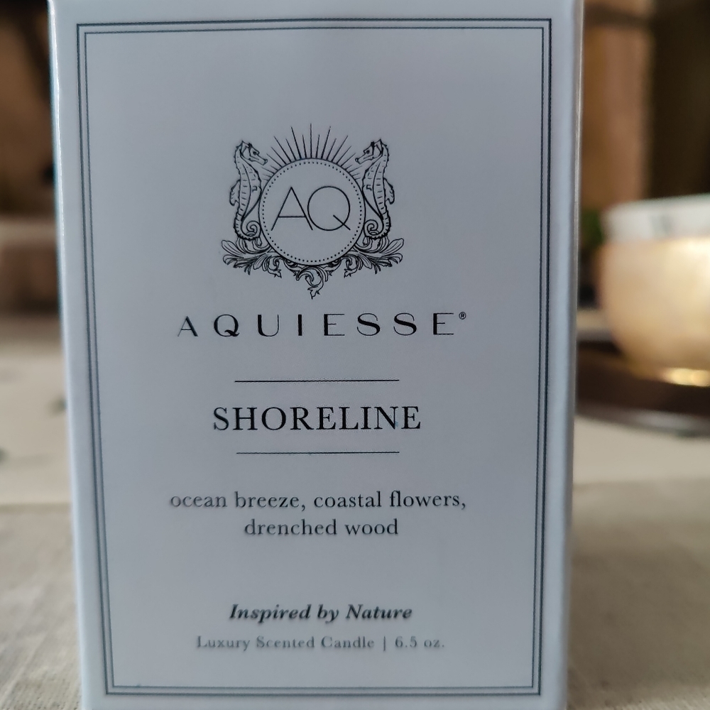 Aquiesse Shoreline Candle 6.5oz